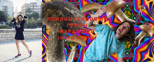 МДМА Бородино