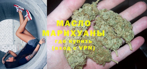 гидра Богородицк