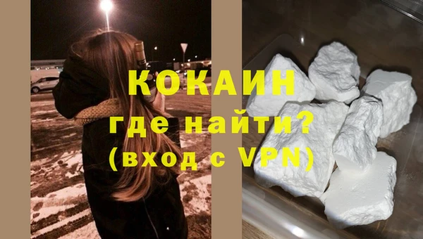гидра Богородицк