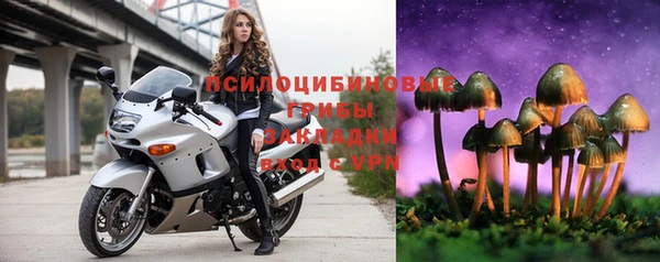 МДМА Бородино