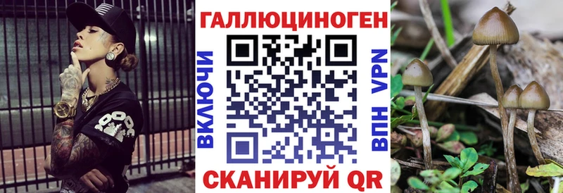 Псилоцибиновые грибы Cubensis купить наркотик Городец