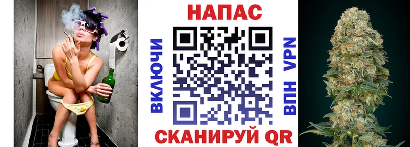 где продают   Городец  Канабис сатива 